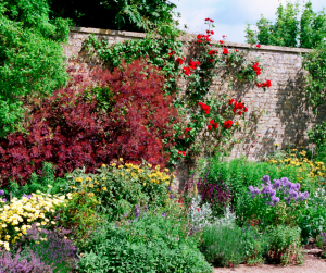 Walled private garden 