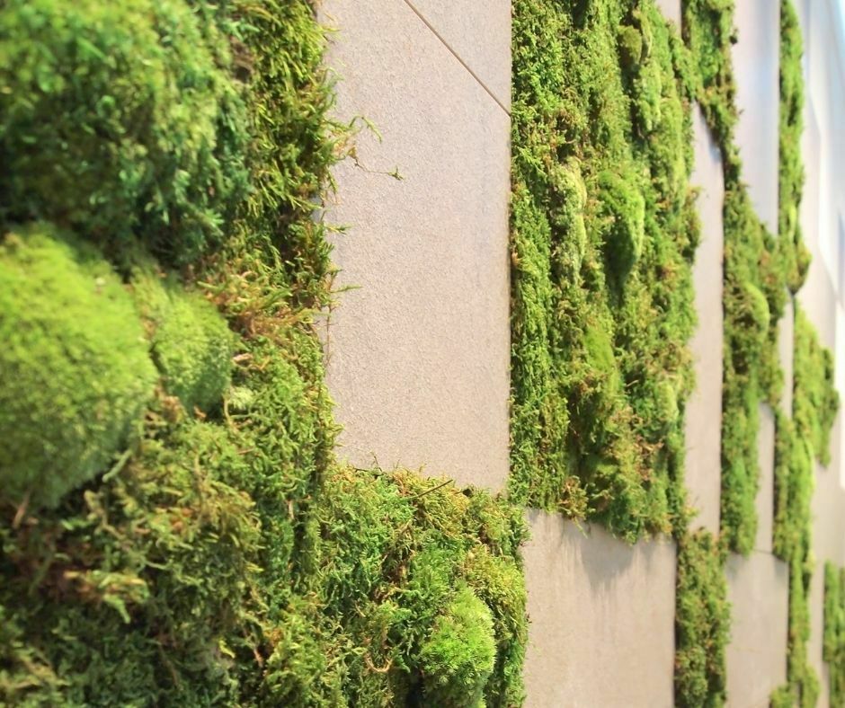 Tiles used to create a living wall